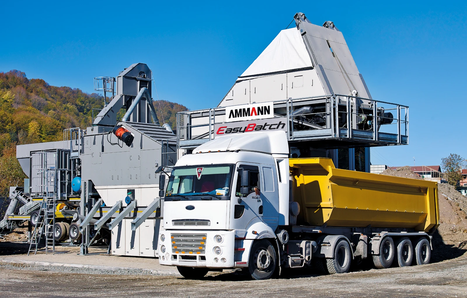 ammann